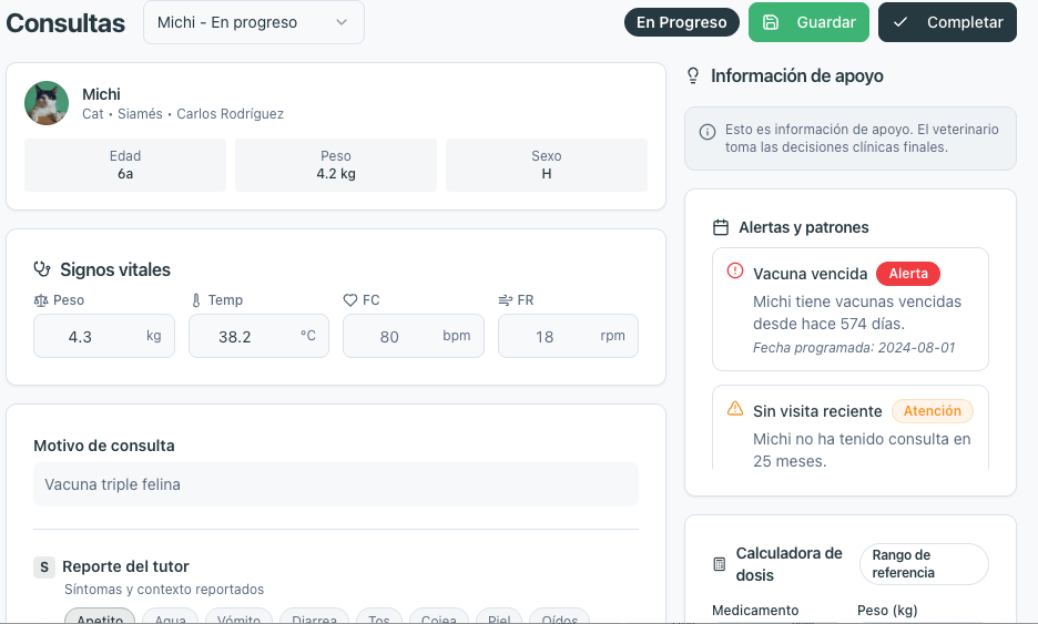 Expediente y consulta